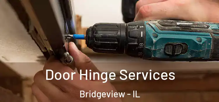 Door Hinge Services Bridgeview - IL