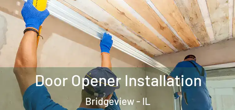 Door Opener Installation Bridgeview - IL