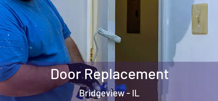 Door Replacement Bridgeview - IL