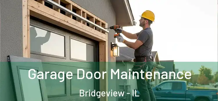 Garage Door Maintenance Bridgeview - IL