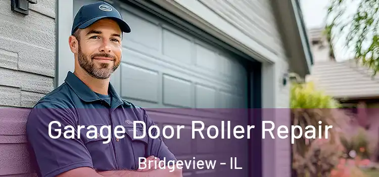 Garage Door Roller Repair Bridgeview - IL