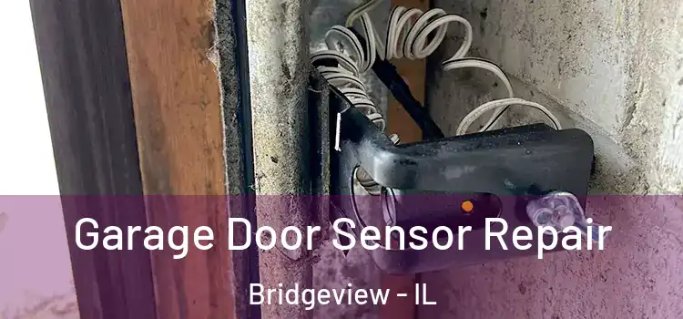 Garage Door Sensor Repair Bridgeview - IL