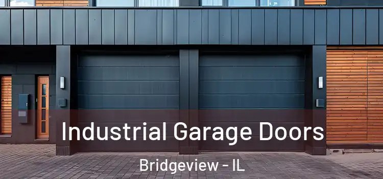  Industrial Garage Doors Bridgeview - IL