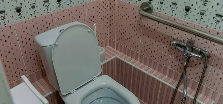 Meeting Diverse Needs With Accessible Restroom Solutions in Bridgeview, IL