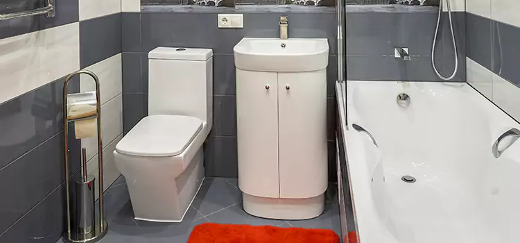 Hansgrohe Shaving Mirror Bridgeview