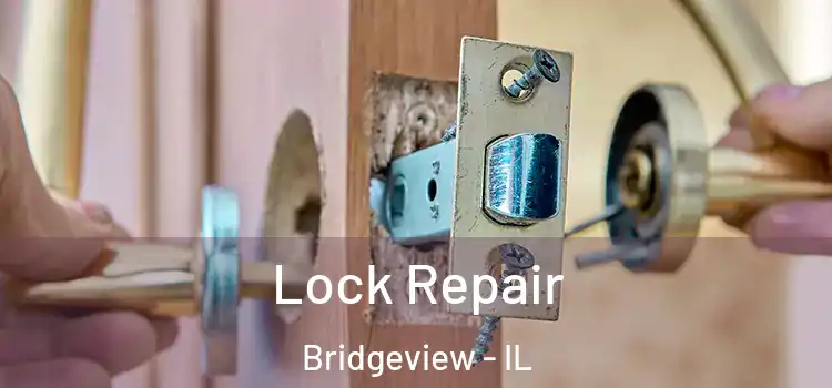  Lock Repair Bridgeview - IL