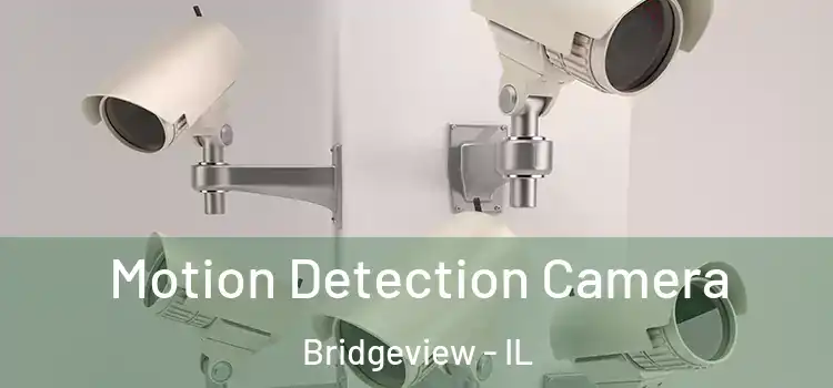  Motion Detection Camera Bridgeview - IL