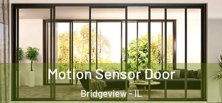 Motion Sensor Door Bridgeview - IL
